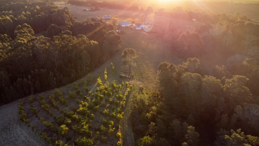 6 Bedroom Property for Sale in Plettenberg Bay Rural Western Cape